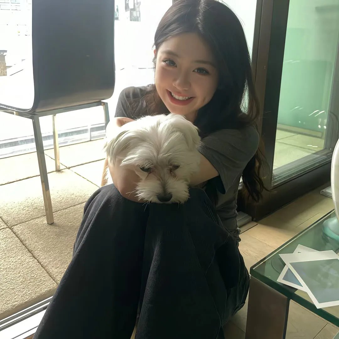 情来．算尽爱